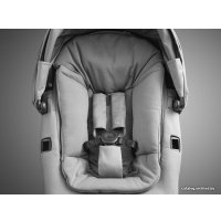 Универсальная коляска Stokke Xplory X (2 в 1, modern grey)