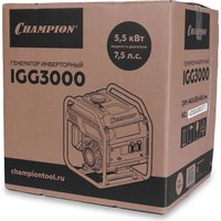 Бензиновый генератор Champion IGG3000