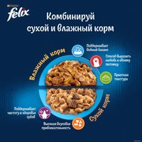 Пресервы Felix Аппетитные кусочки с форелью в желе 75 г