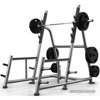 Силовая стойка Matrix Magnum Power A81