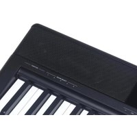 Цифровое пианино Medeli SP-C120