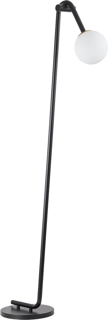 

Торшер Lumion Dexter 6500/1F