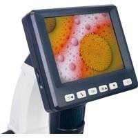 Микроскоп Levenhuk Discovery Artisan 128 78162 в Бресте