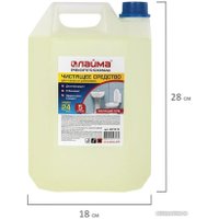 Средство для унитаза Laima Professional Гель с отбеливающим эффектом 601612 (5 л)