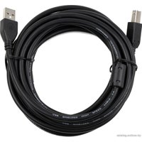 Кабель Cablexpert CCF2-USB2-AMBM-6