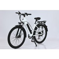 Электровелосипед Smart Balance City Lite 2025 (белый) в Бресте