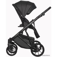 Универсальная коляска Riko Basic Montana Ecco (2 в 1, 12/черный)