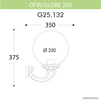 Уличный настенный светильник Fumagalli Globe 250 G25.132.000.AYE27