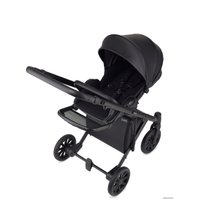 Универсальная коляска Anex E/type 2022 (2 в 1, noir et-05A)