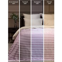 Плед Tex Republic Absolute Зигзаг двухцветный Flannel 200x220 92578 (сиреневый)