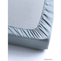 Простыня Loon Сатин 160x200 (светло-голубой)