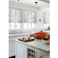 Жалюзи горизонтальные Эскар 100x160 5018100160 (серебристый)