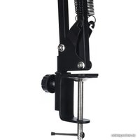 Стойка Zarrumi Stand D38