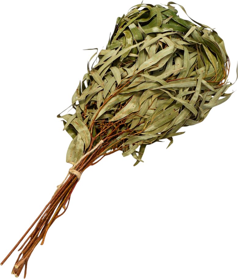 Банный веник Добропаровъ Эвкалиптовый 683796