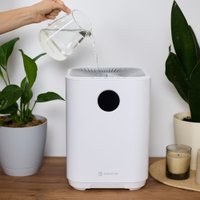 Увлажнитель воздуха Evolution HF-577 Smart + набор кружек Makkua Cup Cozyday MC270