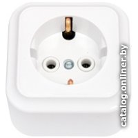 Розетка Bylectrica Пралеска РА16-254