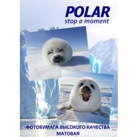 Самоклеящаяся бумага Polar A6K7906 матовая оранжевая A6, 80 г/м2, 25 л