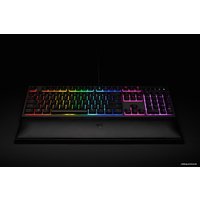 Клавиатура Razer Ornata Chroma