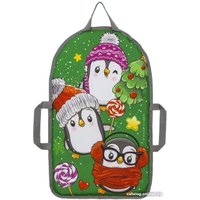 Ледянка Тяни-Толкай Прямоугольная ЛДМО-100 TT.002.LDMО1.00.13.000 (Pinguin)