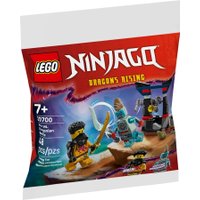 Конструктор LEGO Ninjago 30700 Битва Арина с Драконианцем
