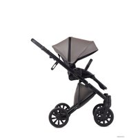 Универсальная коляска Anex E/type 2022 (2 в 1, gothic et-03A)