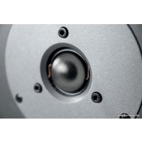 Напольная акустика Dynaudio DM 3/7