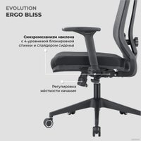 Офисное кресло Evolution ERGO BLISS Black (черный)
