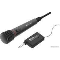 Радиосистема Ritmix RWM-100 (черный)