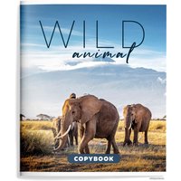 Полуобщая тетрадь Schoolformat Дикие животные ТОК48-ДЖ (48 л)