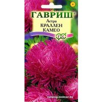 Семена цветов Гавриш Астра Краллен Камео 0.3 г