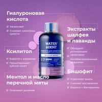 Жидкость для ирригатора Waterdent Вечерний детокс 500 мл
