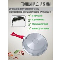 Сковорода Zepter Z-FP2425-RHS