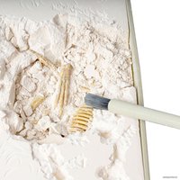 Набор для опытов Bondibon Динозавр. Археоптерикс ВВ5143