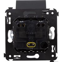 Розетка DKC Avanti 4412013 (черный матовый)