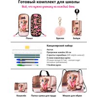 Школьный рюкзак SkyName set-R1-081