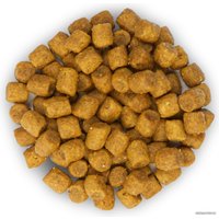 Сухой корм для кошек Hill's Science Plan Adult 1-6 Lamb для взрослых кошек для поддержания жизненной энергии и иммунитета, с ягненком 10 кг