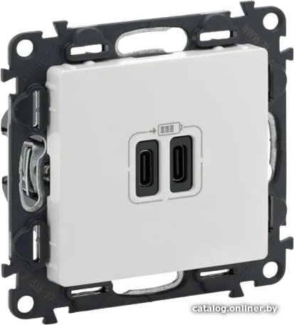 Розетка USB Legrand Valena Life 753107