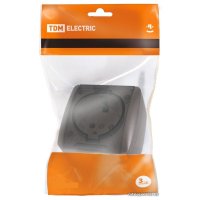 Розетка TDM Electric Селигер SQ1818-0207