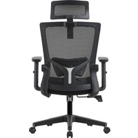 Офисное кресло Evolution ErgoLine 1 (черный)