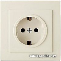 Розетка Элект RS16-133-Б