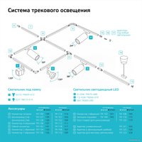 Трековый светильник Gauss TR072
