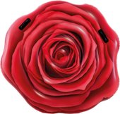 Red Rose 58783