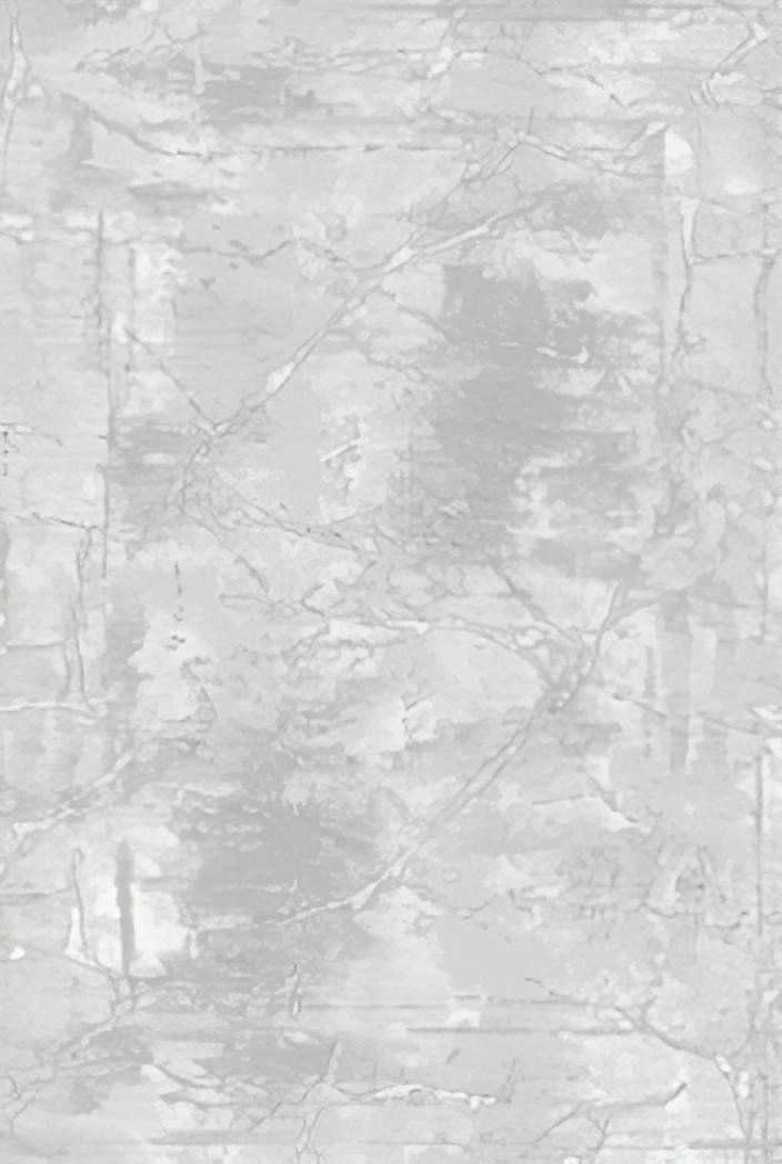 

Ковер для жилой комнаты Safyun Eva LZ191-LIGHT-GREY (1.2x1.7)