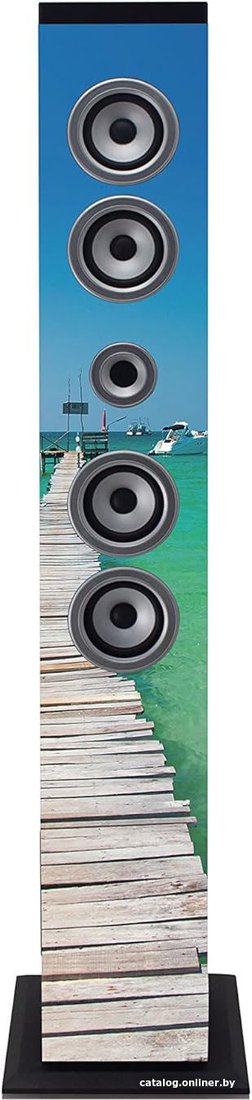 Музыкальный центр iCES IBT-6 Sea