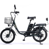 Электровелосипед MyWay Truck 1.0 500 24 (15, темно-зеленый)