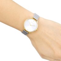 Наручные часы Skagen SKW2340