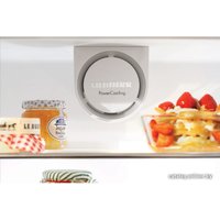 Холодильник Liebherr C 4023