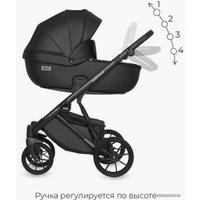 Универсальная коляска Riko Basic Montana Ecco (2 в 1, 12/черный)
