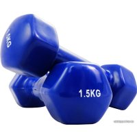 Набор гантелей Protrain TA-2103-1.5 2x1.5 кг