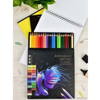 Набор цветных карандашей Феникс+ Классик 64098 (24 цв)